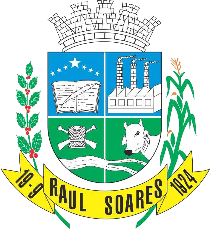 Raul Soares On Line